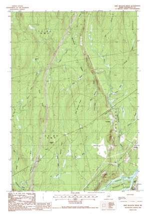 Nine Meadow Ridge USGS topographic map 45068d5