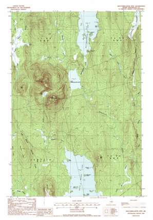 Mattamiscontis Mountain USGS topographic map 45068d6