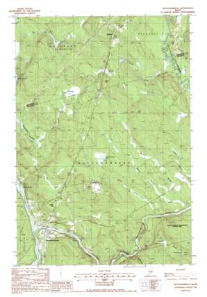Mattawamkeag USGS topographic map 45068e3