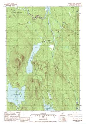 Nollesemic Lake USGS topographic map 45068e6