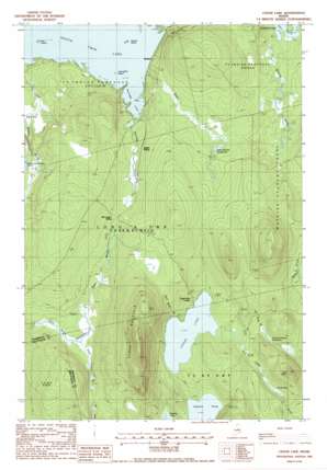 Cedar Lake topo map