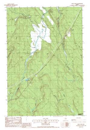Reed Pond USGS topographic map 45068f2