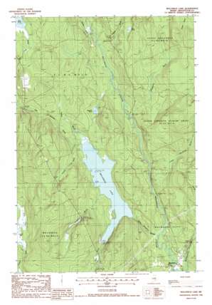 Molunkus Lake USGS topographic map 45068f3