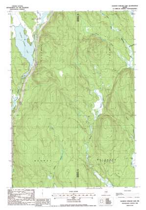 Salmon Stream Lake topo map