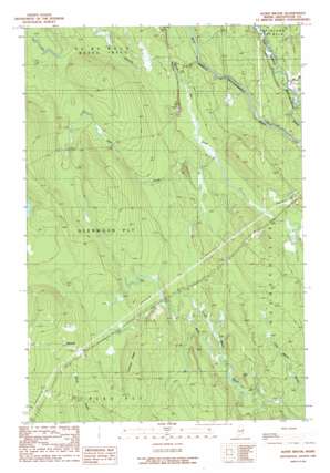 Alder Brook USGS topographic map 45068g1