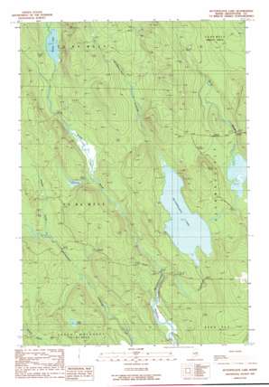 Wytopitlock Lake USGS topographic map 45068g2