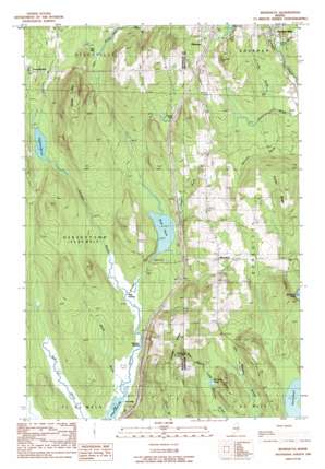 Benedicta USGS topographic map 45068g4
