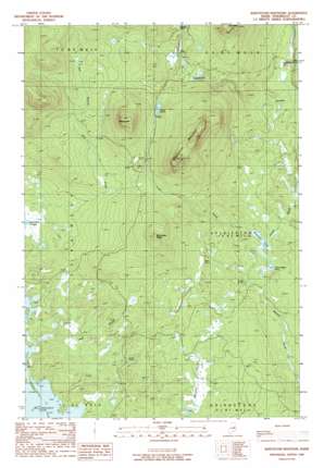 Whetstone Mountain USGS topographic map 45068g6