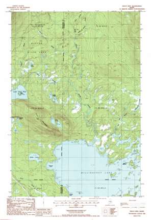 Trout Mountain USGS topographic map 45068g7