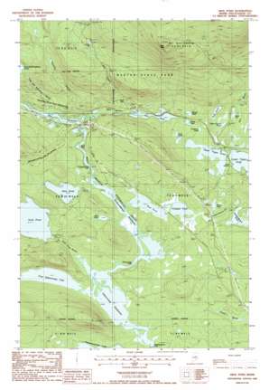 Abol Pond USGS topographic map 45068g8