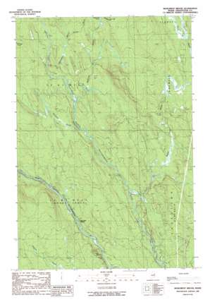 Monument Brook USGS topographic map 45068h1