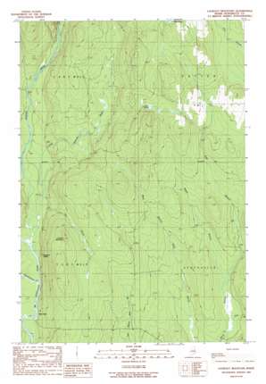 Lookout Mountain USGS topographic map 45068h5