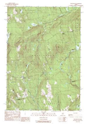 Wellington USGS topographic map 45069a5