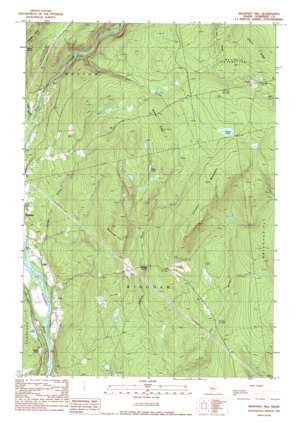 Mahoney Hill USGS topographic map 45069a7
