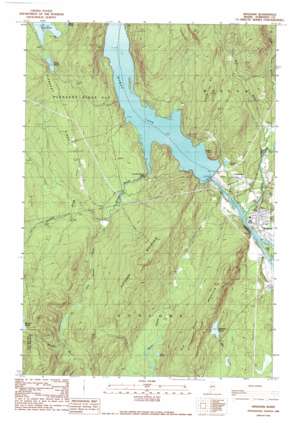 Bingham USGS topographic map 45069a8