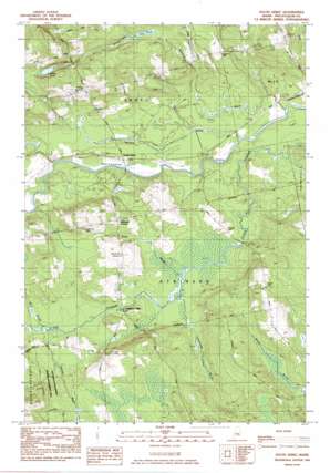 South Sebec USGS topographic map 45069b1