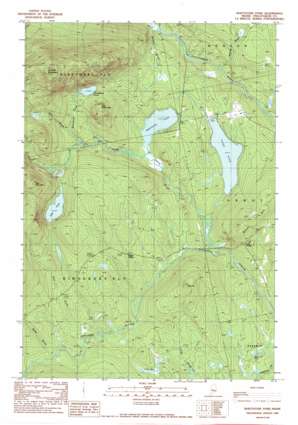 Whetstone Pond USGS topographic map 45069b5