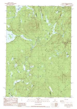 Foster Ridge USGS topographic map 45069b6