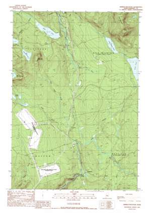 Dimmick Mountain USGS topographic map 45069b7