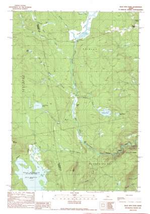 Bald Mountain Pond USGS topographic map 45069c6