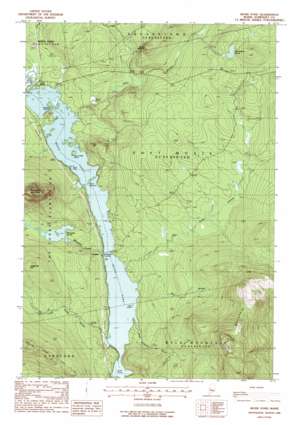 Moxie Pond USGS topographic map 45069c7