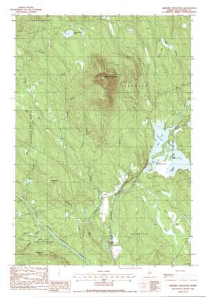 Ebeemee Mountain USGS topographic map 45069d1