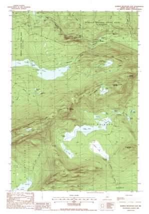 Barren Mountain East USGS topographic map 45069d3