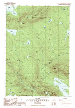 Barren Mountain West USGS topographic map 45069d4