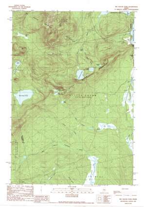 Big Moose Pond USGS topographic map 45069d6