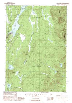 Moxie Pond USGS topographic map 45069d7