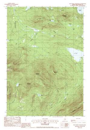 Big Shanty Mountain USGS topographic map 45069e2