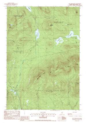 Barren Mountain East USGS topographic map 45069e3