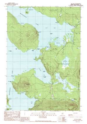 Lily Bay USGS topographic map 45069e5