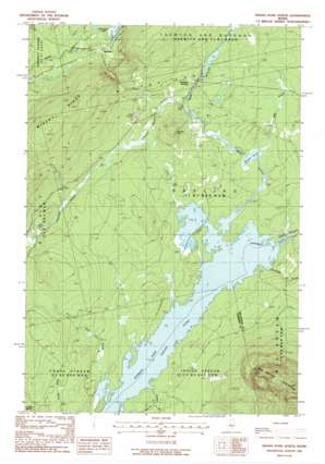 Indian Pond North topo map