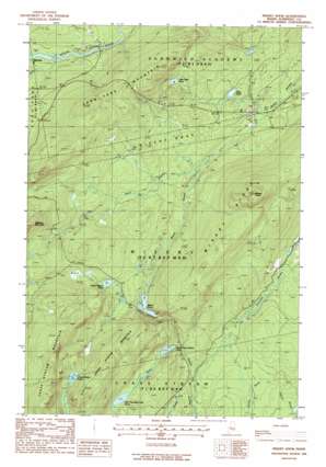 Misery Knob USGS topographic map 45069e8