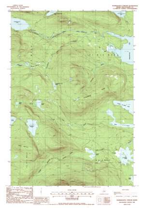 Nahmakanta Stream USGS topographic map 45069f1