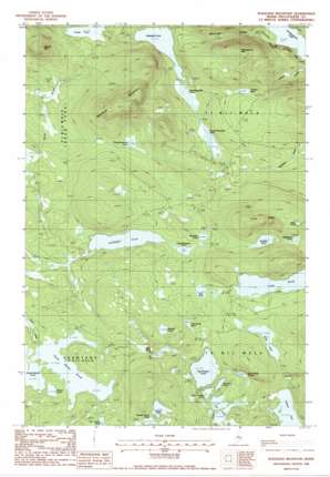 Wadleigh Mountain USGS topographic map 45069f2