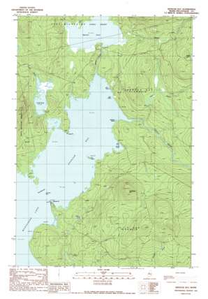Spencer Bay USGS topographic map 45069f5