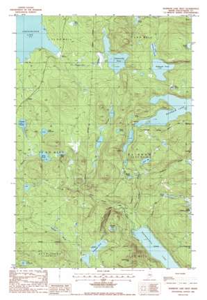 Rainbow Lake West USGS topographic map 45069g2
