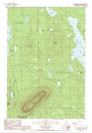 Big Spencer Mountain USGS topographic map 45069g4