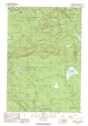 Tomhegan Pond USGS topographic map 45069g8