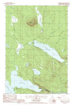 Harrington Lake USGS topographic map 45069h2