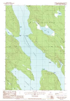 Caribou Lake North USGS topographic map 45069h3