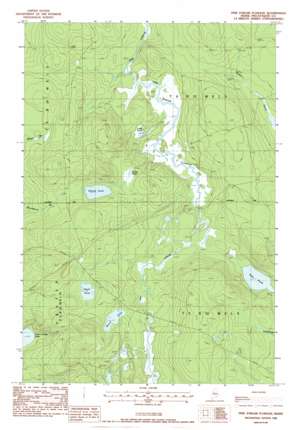 Pine Stream Flowage USGS topographic map 45069h4