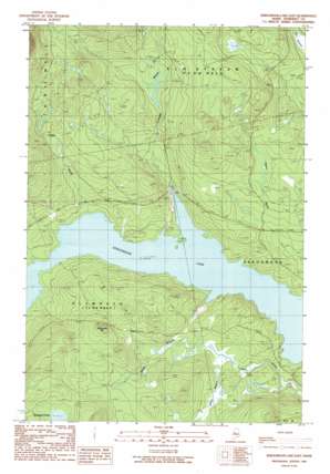 Seboomook Lake East USGS topographic map 45069h7