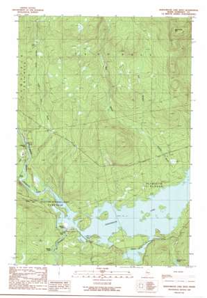 Seboomook Lake West USGS topographic map 45069h8