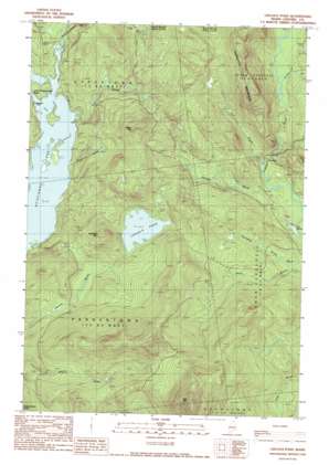 Lincoln Pond USGS topographic map 45070a8
