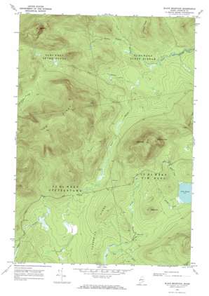 Black Mountain USGS topographic map 45070b6
