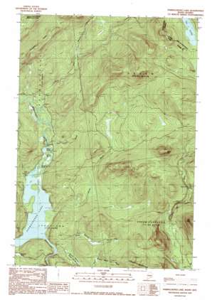 Parmachenee Lake USGS topographic map 45070b8