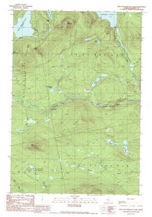 King And Bartlett Lake topo map